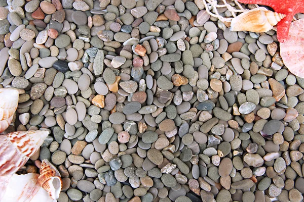 Small sea stones and shells — Stock Photo, Image