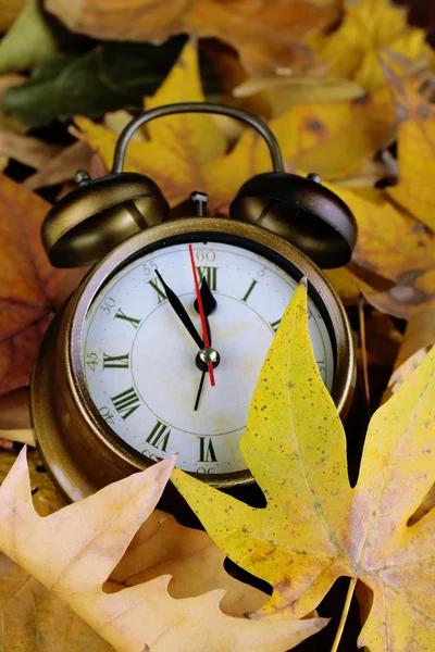 Alte Uhr auf Herbstblättern aus nächster Nähe — Stockfoto