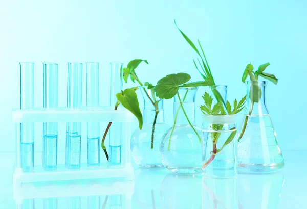 Plantas en tubos de ensayo, sobre fondo de color — Foto de Stock