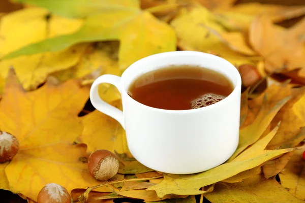 Kopje warme drank, op gele bladeren achtergrond — Stockfoto