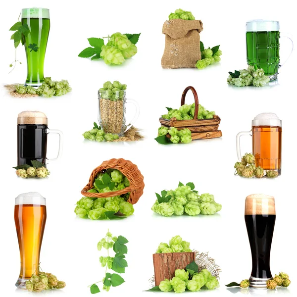 Green hop and beer isolated on white — Stock Photo, Image