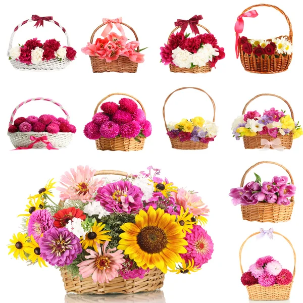 Colagem de belas flores em cestas de vime isoladas em branco — Fotografia de Stock