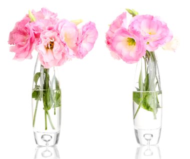 buket üzerinde beyaz izole eustoma çiçek vazo içinde