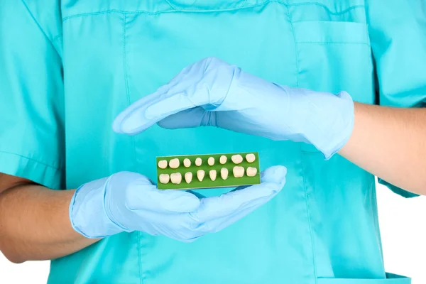 Dentura segurando as mãos do dentista — Fotografia de Stock