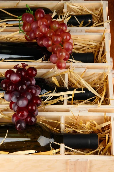 Wooden case with wine bottles close up — Stock Photo, Image