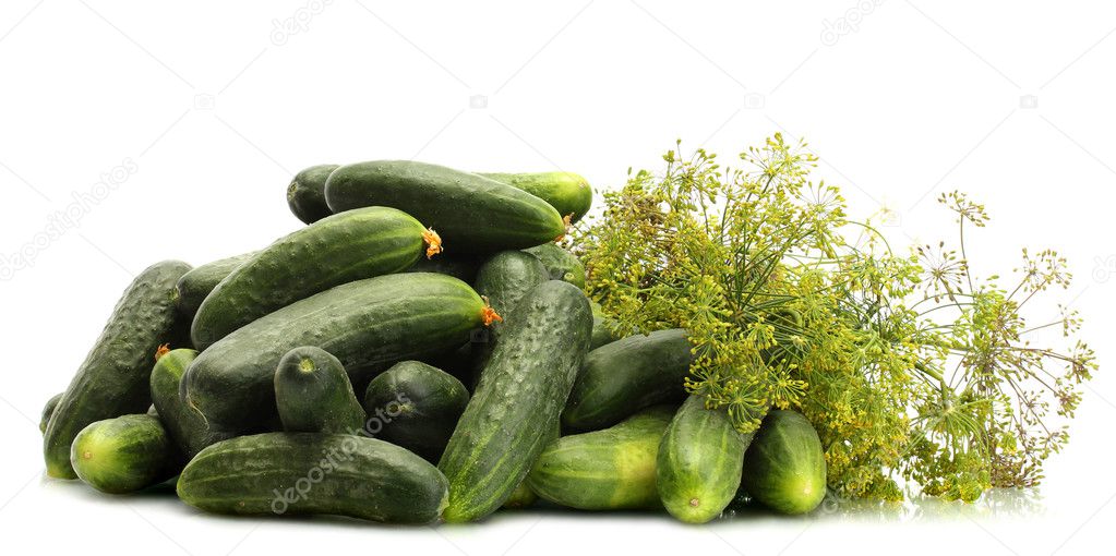 fresh cucumbers and dill isolated on white