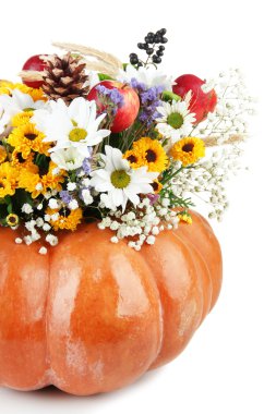 kabak üzerine beyaz izole güzel sonbahar kompozisyon