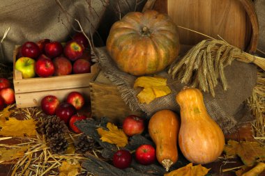 sandık ve saman çul arka plan üzerinde pumpkins ile elma