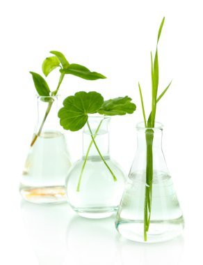 test tüpleri, üzerinde beyaz izole tesislerinde