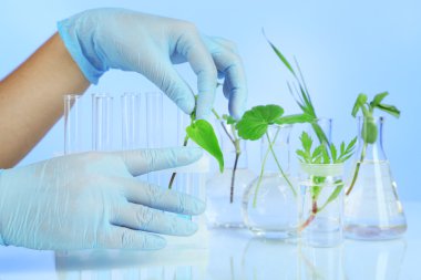 test tüpleri bitkilerde. kavram, bilim için pf araştırma. renkli arka plan üzerinde