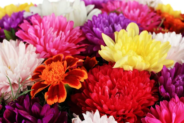 Beautiful bouquet of chrysanthemums close-up — Stock Photo, Image