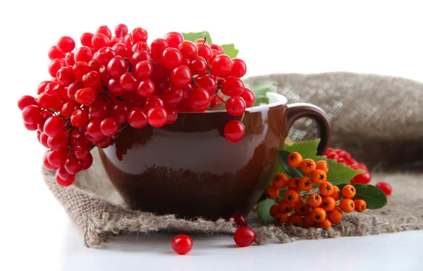 Bayas rojas y naranjas en taza, en servilleta de tela de saco, aisladas en blanco — Foto de Stock