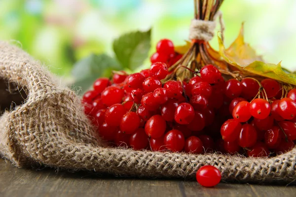 Red berries of viburnum on sackcloth napkin, on bright background — Stock Photo, Image