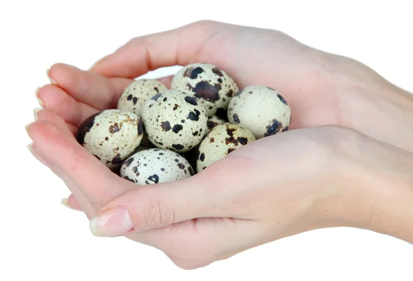 Ορτύκια αυγά στα χέρια που απομονώνονται σε λευκό — Φωτογραφία Αρχείου