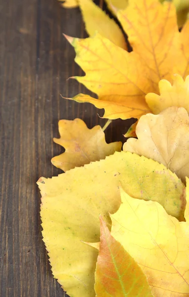 Bright autumn leafs on wooden table — Stock Photo, Image