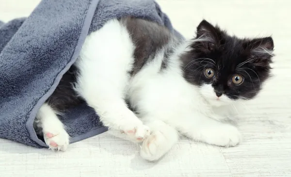 Pequeño gatito lindo con toalla en el suelo — Foto de Stock