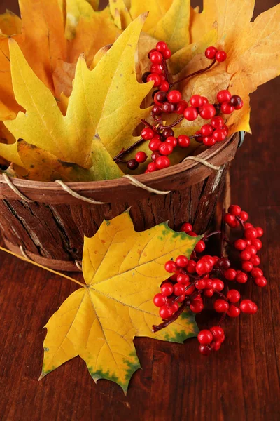 Hermosas hojas de otoño y bayas rojas en cesta sobre fondo de madera —  Fotos de Stock