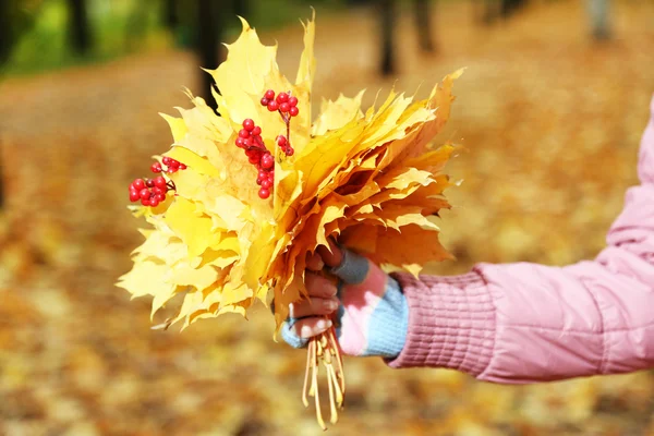 노란색의 꽃다발 손에 나뭇잎 — 스톡 사진