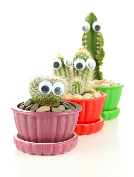 Cactuses in flowerpots with funny eyes, isolated on white — Stock Photo, Image