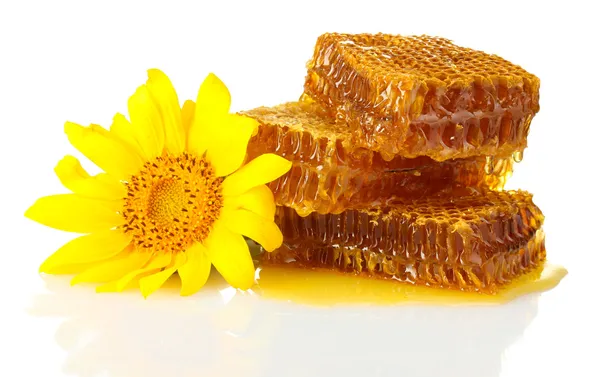 Panales dulces con miel y girasol, aislados en blanco — Foto de Stock