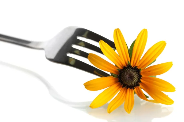 Fourchette et fleur, isolées sur blanc — Photo