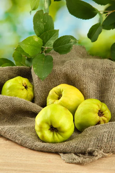 Sweet quinces with leaves, on burlap, on green background — Stock Photo, Image