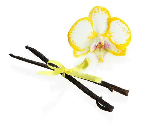 Vanilla pods with flower isolated on white — Stock Photo, Image