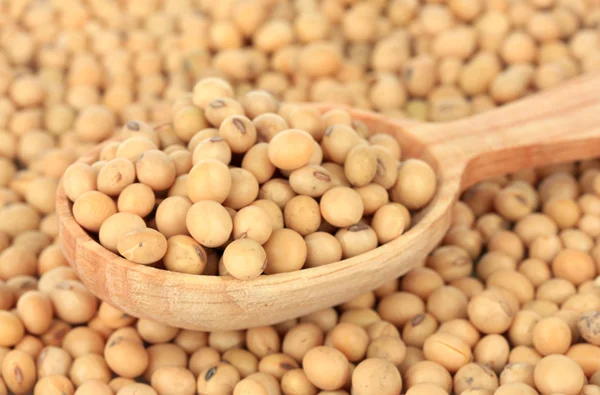 Soy beans close-up — Stock Photo, Image