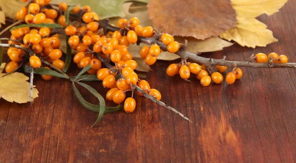 Branches of sea buckthorn with yellow leaves on wooden background — Stock Photo, Image