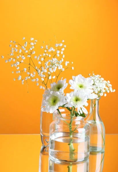 Plantas en varios recipientes de vidrio sobre fondo naranja — Foto de Stock