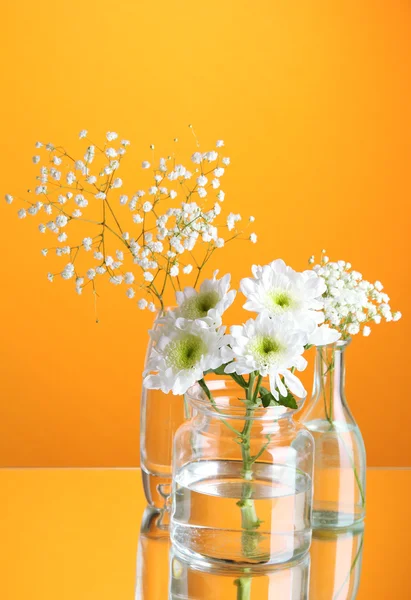 Plantas en varios recipientes de vidrio sobre fondo naranja —  Fotos de Stock