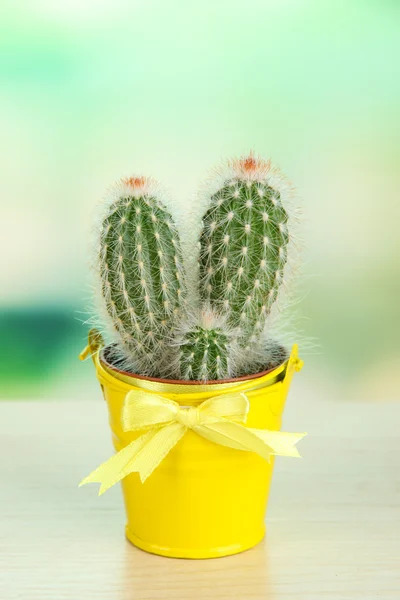 Beau cactus en seau lumineux sur table en bois — Photo