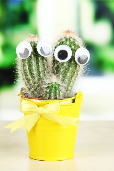 Rolig kaktus med ögon i ljusa hink på trä fönsterkarm — Stockfoto