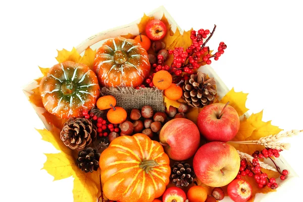 Beautiful autumn composition, isolated on white — Stock Photo, Image