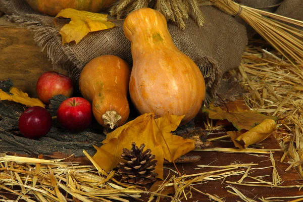 Elma saman üzerinde pumpkins ile yakın çekim — Stok fotoğraf