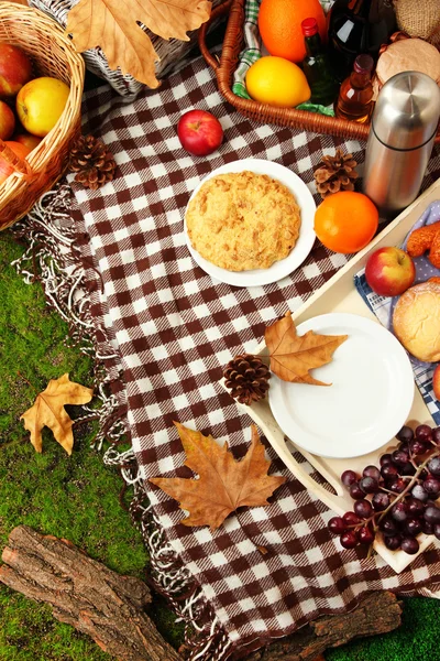 Picnic al aire libre de cerca — Foto de Stock