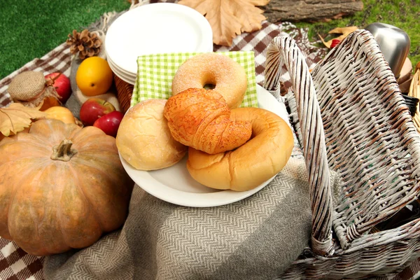 Picnic al aire libre de cerca — Foto de Stock