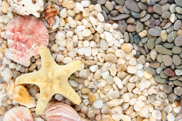 Pequenas pedras marinhas e conchas, de perto — Fotografia de Stock