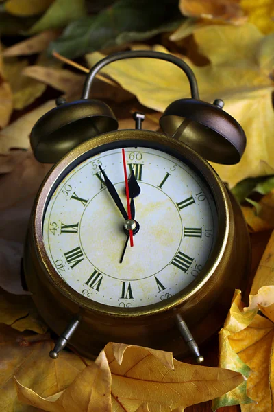 Alte Uhr auf Herbstblättern aus nächster Nähe — Stockfoto