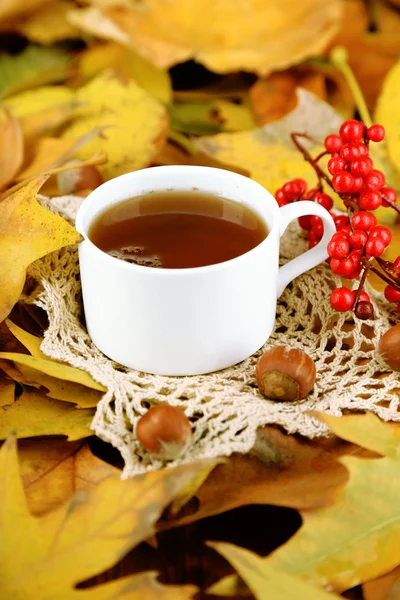 Cup of hot beverage, on yellow leaves background — Stock Photo, Image