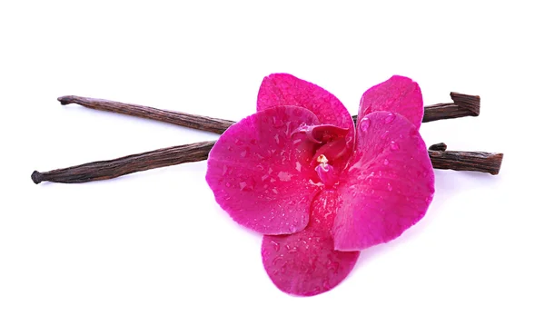 Hermosa orquídea floreciente y varillas de vainilla aisladas en blanco — Foto de Stock