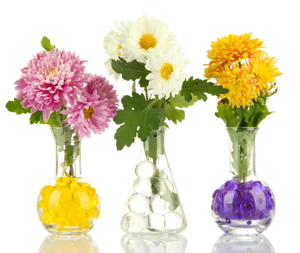 Beautiful flowers in vases with hydrogel isolated on white — Stock Photo, Image