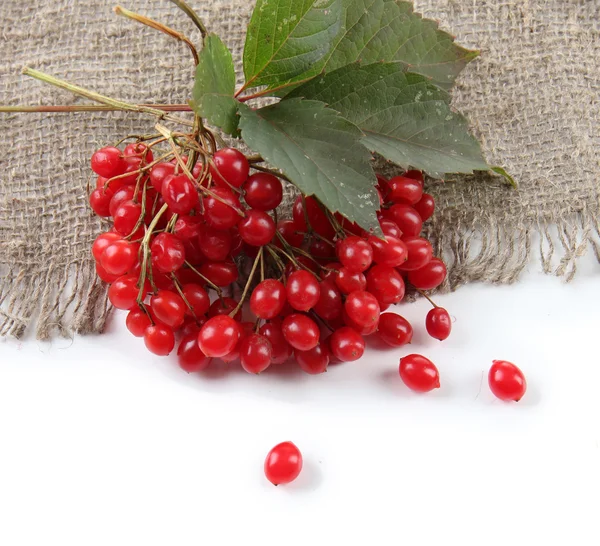 Red berries of viburnum on sackcloth napkin, isolated on white — Stock Photo, Image