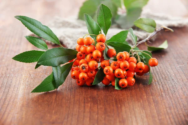 Pyracantha Feuerdorn Orangenbeeren mit grünen Blättern, auf Holzgrund — Stockfoto