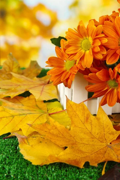 Beautiful autumn leaves with flowers in wooden stand on grass on bright background — Stock Photo, Image