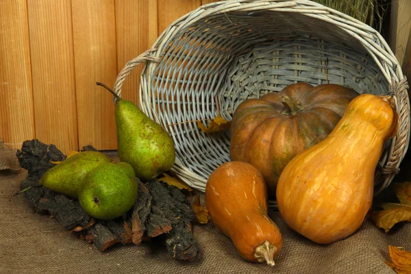 Zucche in cesto e pere su sacco su fondo di legno — Foto Stock