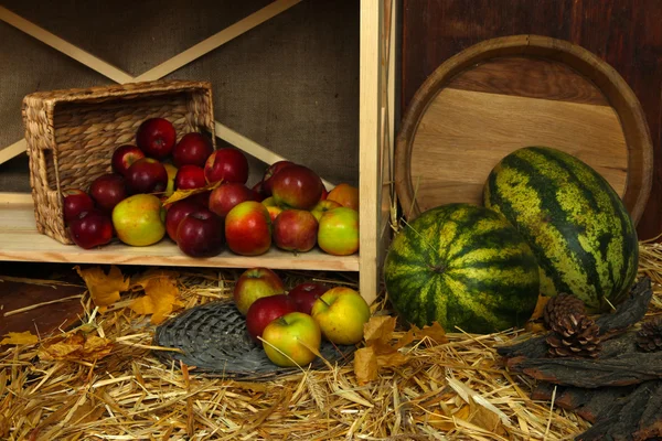 Apples in basket and watermelons on shelf close up — Stock Photo, Image