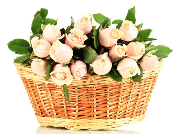 Beautiful bouquet of roses in basket, isolated on white — Stock Photo, Image