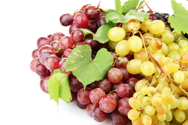 Assortment of ripe sweet grapes isolated on whit Stock Image