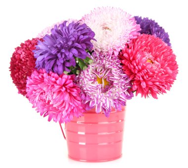 kova, parlak aster çiçekler üzerinde beyaz izole